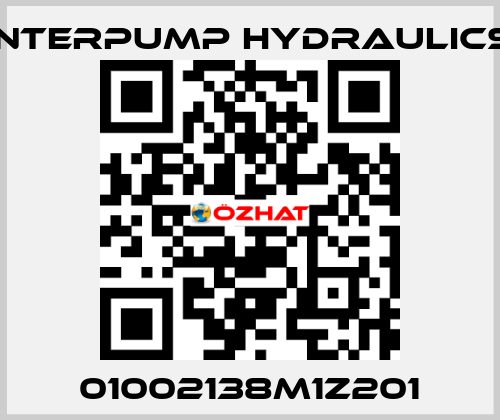 01002138M1Z201 Interpump hydraulics