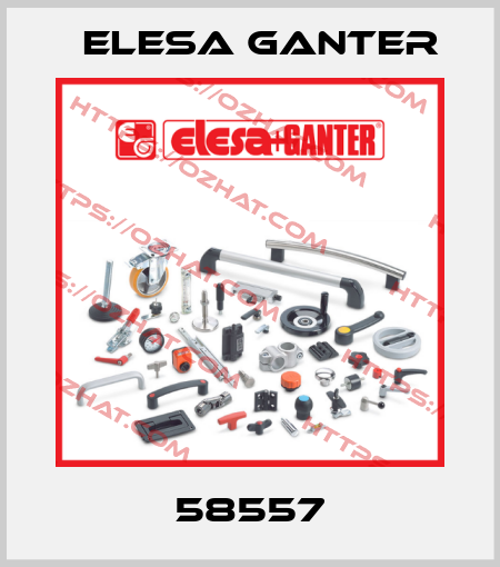 58557 Elesa Ganter