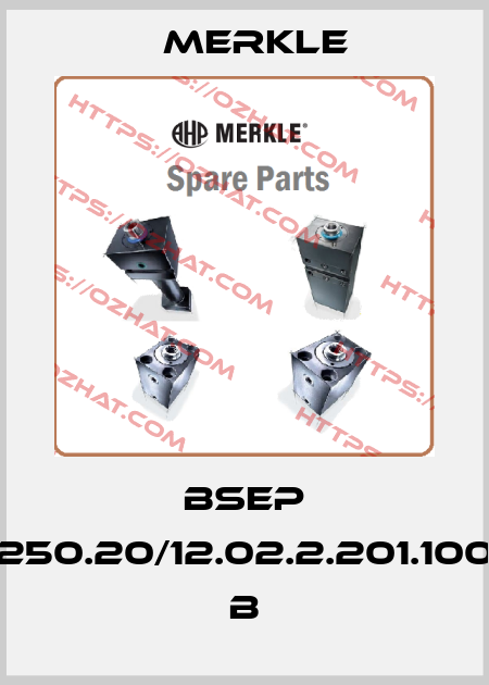 BSEP 250.20/12.02.2.201.100 B Merkle