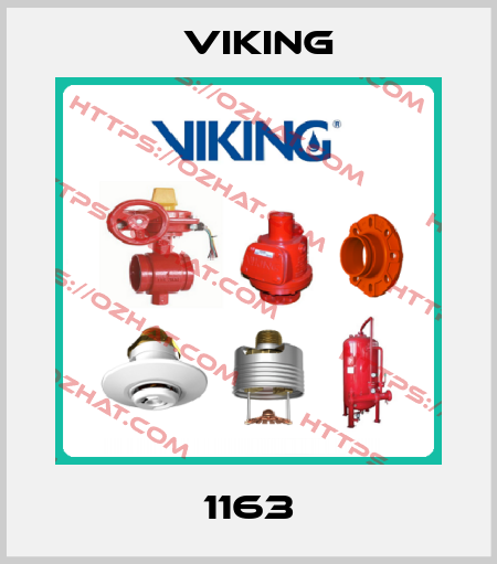 1163 Viking