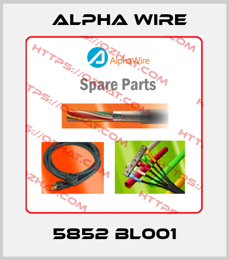 5852 BL001 Alpha Wire