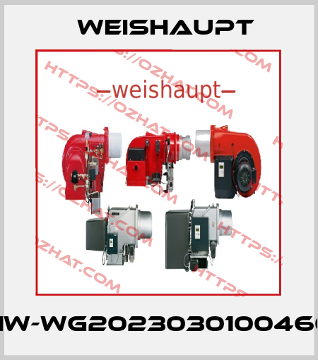 HW-WG2023030100460 Weishaupt