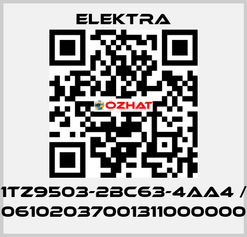 1TZ9503-2BC63-4AA4 / 06102037001311000000 ELEKTRA