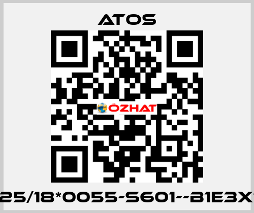 CK-25/18*0055-S601--B1E3X1Z3 Atos