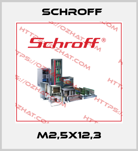 M2,5x12,3 Schroff