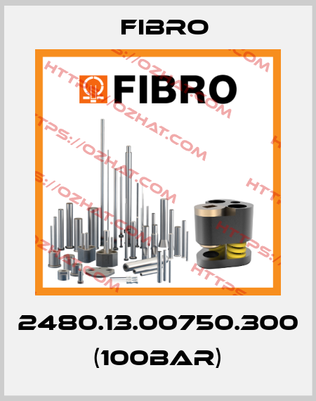 2480.13.00750.300 (100bar) Fibro