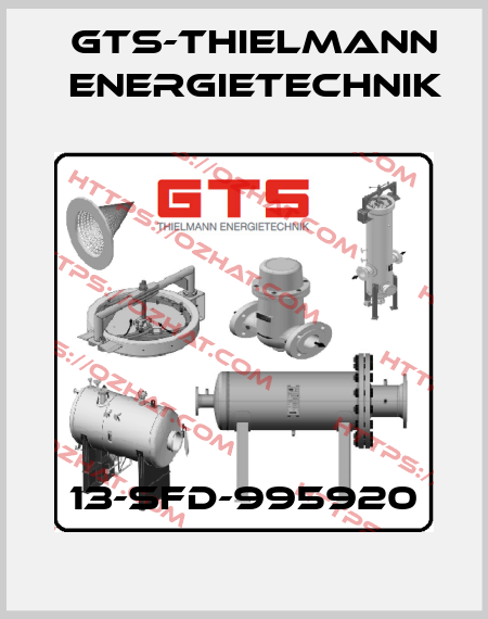 13-SFD-995920 GTS-Thielmann Energietechnik