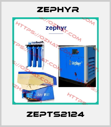 ZEPTS2124 Zephyr