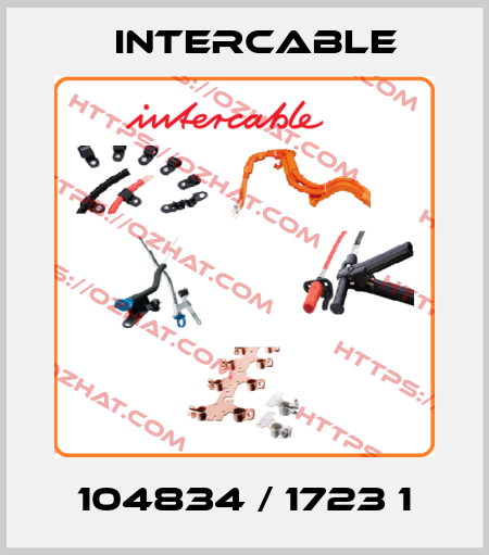 104834 / 1723 1 Intercable