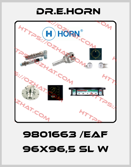 9801663 /EAF 96X96,5 sl W Dr.E.Horn