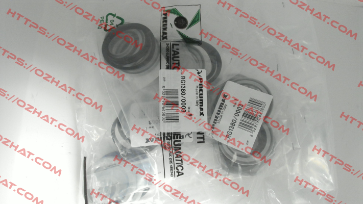 RG1380/0003 Pneumax