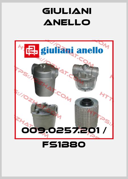 009.0257.201 / FS1B80 Giuliani Anello