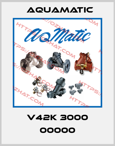 V42K 3000 00000 AquaMatic