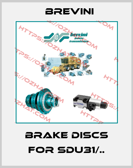brake discs for SDU31/.. Brevini