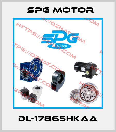 DL-17865HKAA Spg Motor