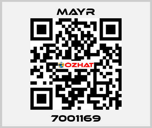 7001169 Mayr