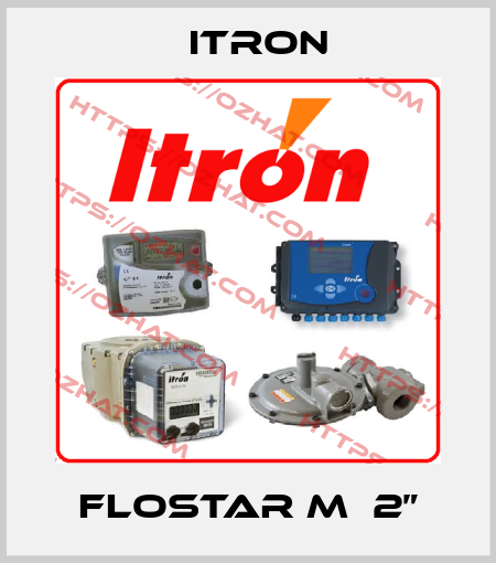 FLOSTAR M  2” Itron