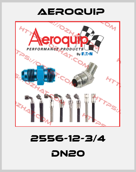 2556-12-3/4 DN20 Aeroquip