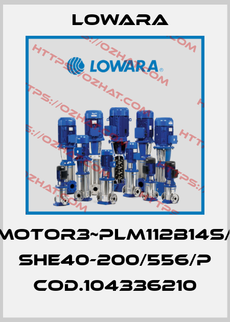 53013H00/Motor3~PLM112B14S/355+Pump SHE40-200/556/P cod.104336210 Lowara