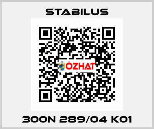 300N 289/04 K01 Stabilus