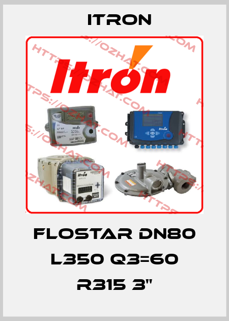 Flostar DN80 L350 Q3=60 R315 3" Itron