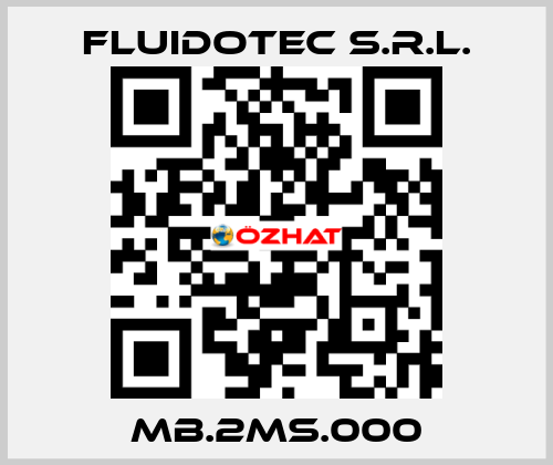 MB.2MS.000 FLUIDOTEC S.r.l.