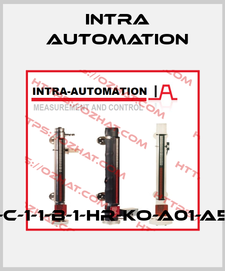 BLS-300-E-M-1-V-09-C-1-1-B-1-HR-KO-A01-A56-000-A000-+A1+FA Intra Automation