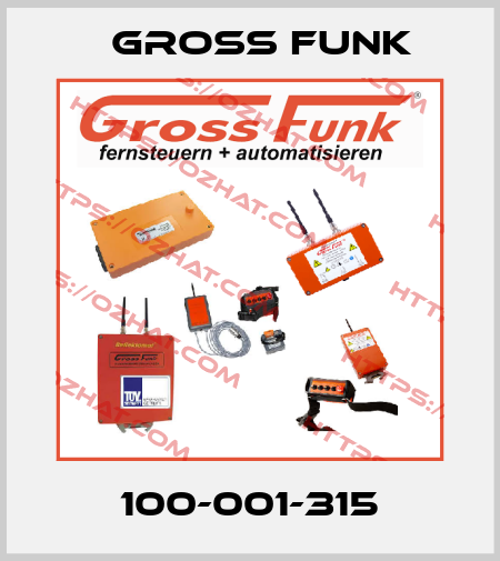 100-001-315 Gross Funk