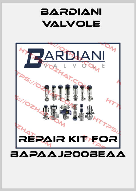 Repair kit for BAPAAJ200BEAA Bardiani Valvole