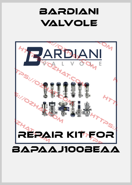 repair kit for BAPAAJ100BEAA Bardiani Valvole