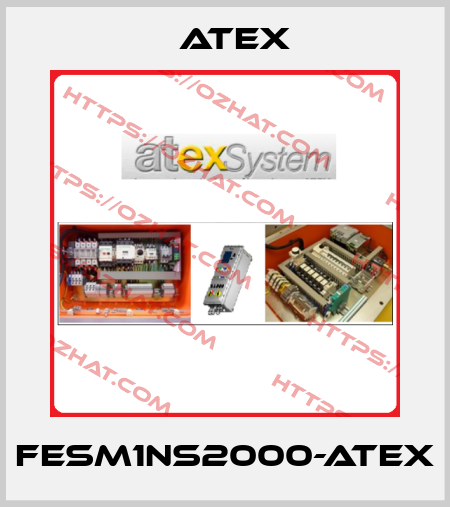 FESM1NS2000-ATEX Atex