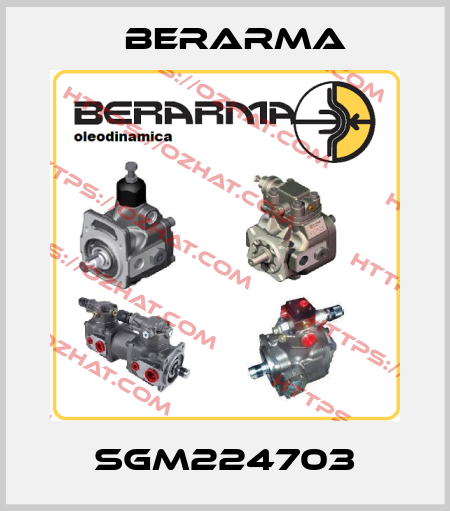SGM224703 Berarma