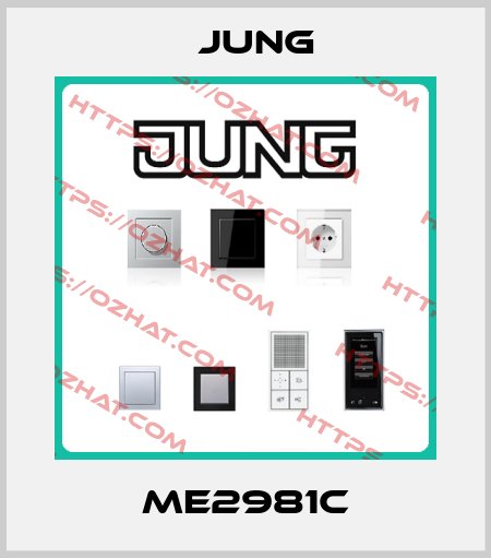 ME2981C Jung