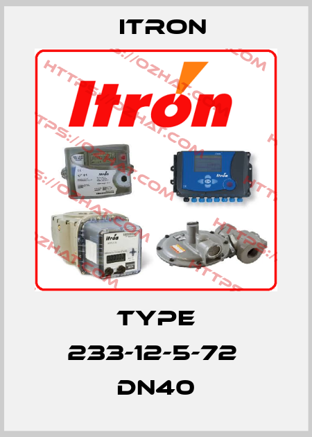 Type 233-12-5-72  DN40 Itron