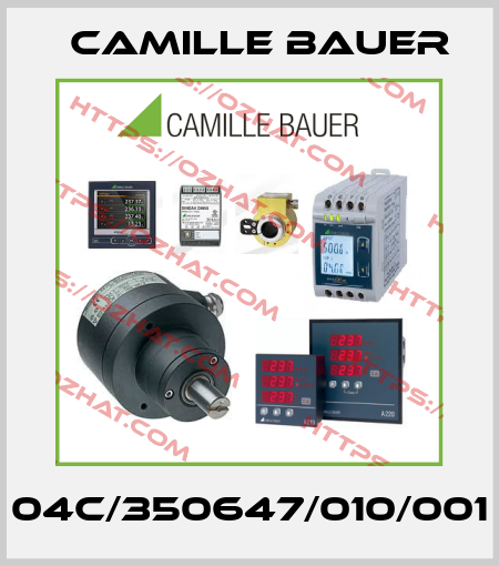 04C/350647/010/001 Camille Bauer