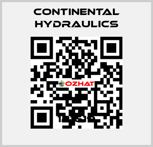 121619 Continental Hydraulics