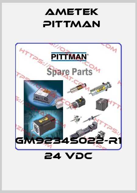 GM9234S022-R1 24 VDC Ametek Pittman
