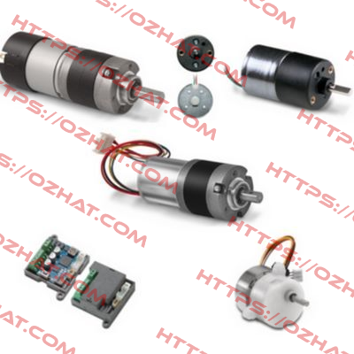 P205.24.4 Micro Motors