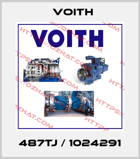487TJ / 1024291 Voith