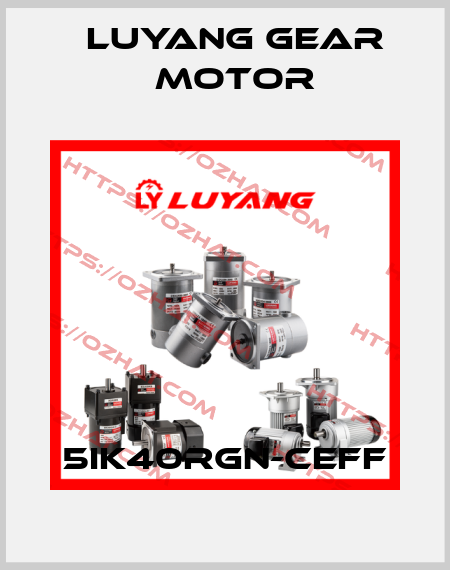 5IK40RGN-CEFF Luyang Gear Motor