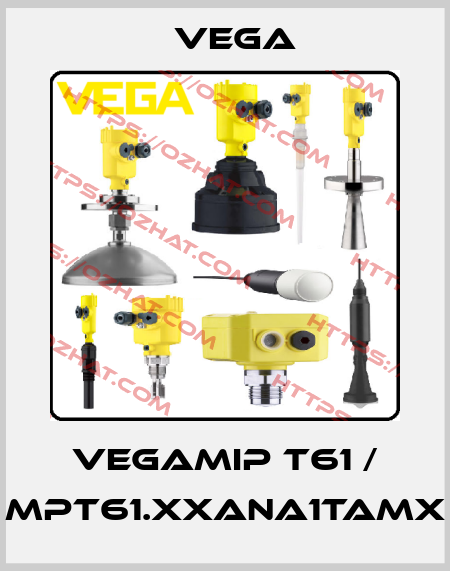 VEGAMIP T61 / MPT61.XXANA1TAMX Vega