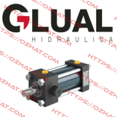 Seal kit for 160/125-100/80-60x3759 Glual Hydraulics