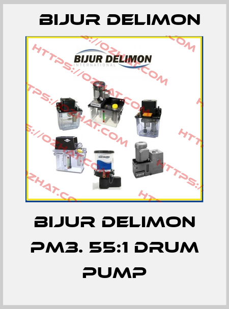 Bijur Delimon PM3. 55:1 drum pump Bijur Delimon