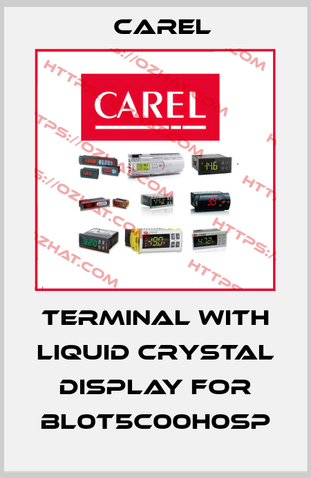 Terminal with liquid crystal display for BL0T5C00H0SP Carel