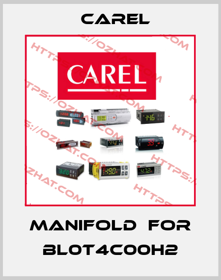 manifold  for BL0T4C00H2 Carel