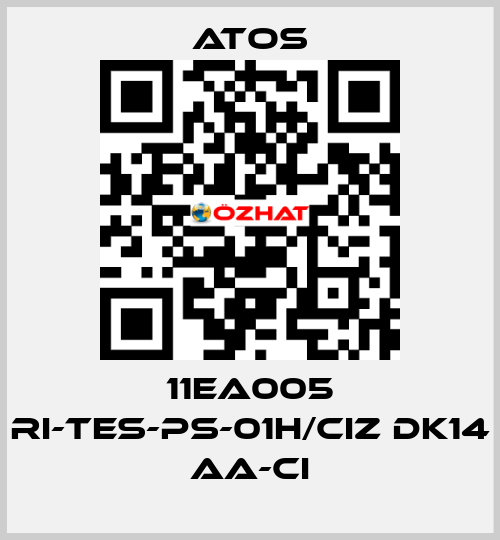 11EA005 RI-TES-PS-01H/CIZ DK14 AA-CI Atos