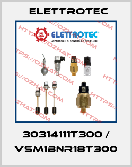 30314111T300 / VSM1BNR18T300 Elettrotec