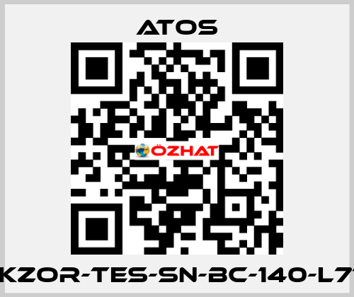 DLKZOR-TES-SN-BC-140-L71/Y Atos