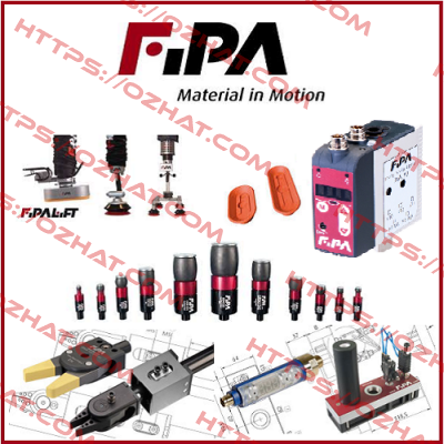 GS04.002 FIPA
