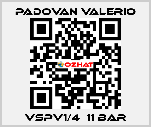 VSPV1/4  11 bar PADOVAN VALERIO